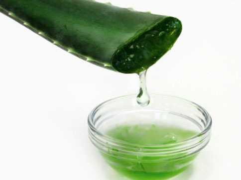 Aloe Vera para la caspa