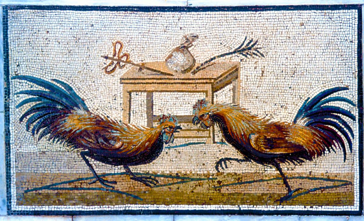 Pelea de gallos. Mosaico romano.