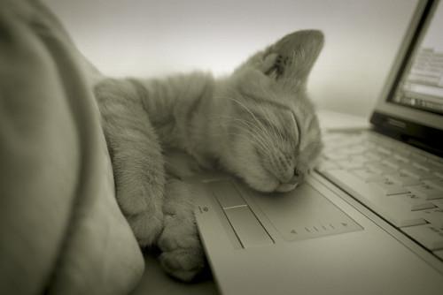 Mal dormir por Nathanael Valero