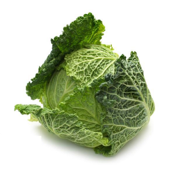 Col-Repollo