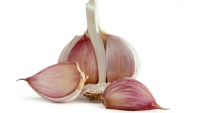 ajo