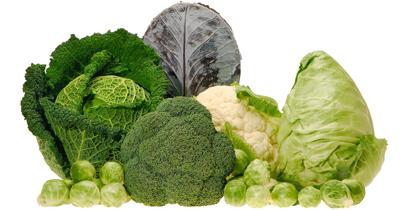 vegetales verdes