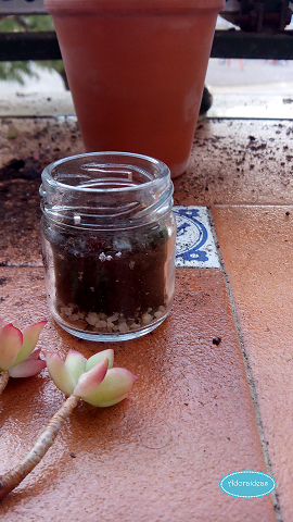 suculentas-cactus-reciclaje-terrario-adoraideas-3