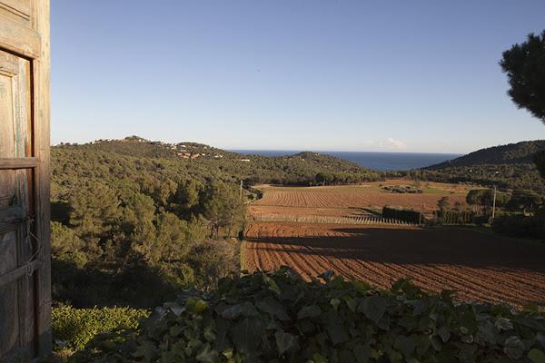 Casa-taller de Pepa Poch