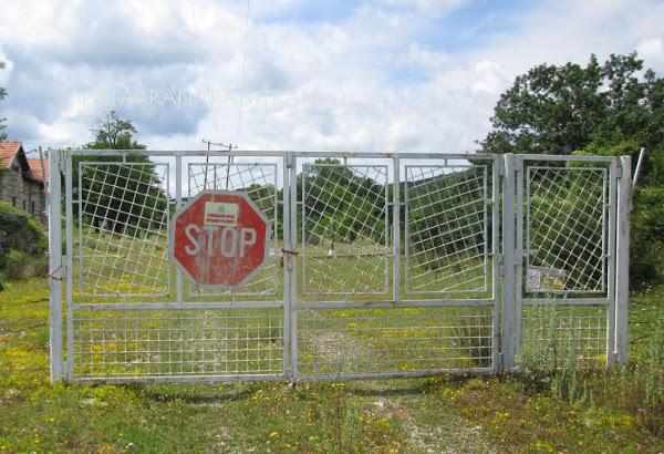 Y túneles apenas distinguibles entre la maleza.