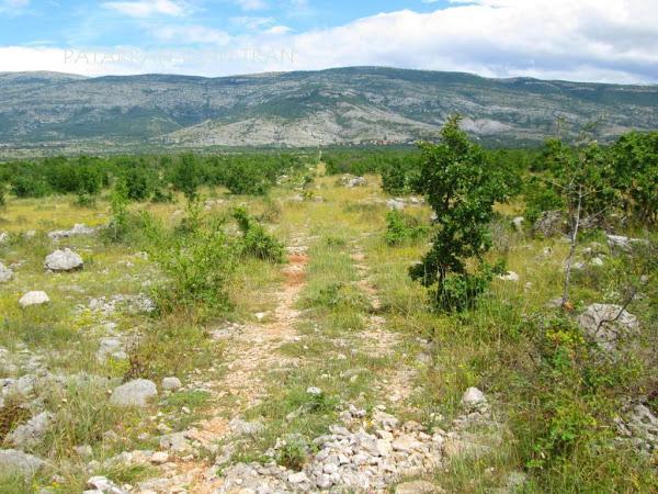 DRZ400, Suzuki, Trail, Balcanes, Trail Forever,