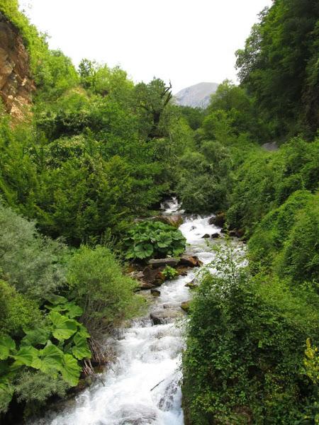 DRZ400. Los balcanes Patarránicos. Trail forever. (V)