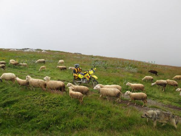 DRZ400. Los balcanes Patarránicos. Trail forever. (V)