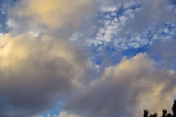 Sin miedo a equivocarse