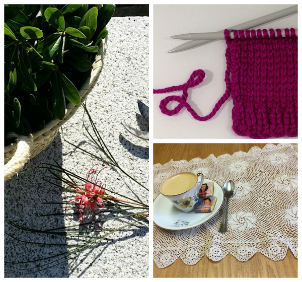 Iniciativa ElPlacerD