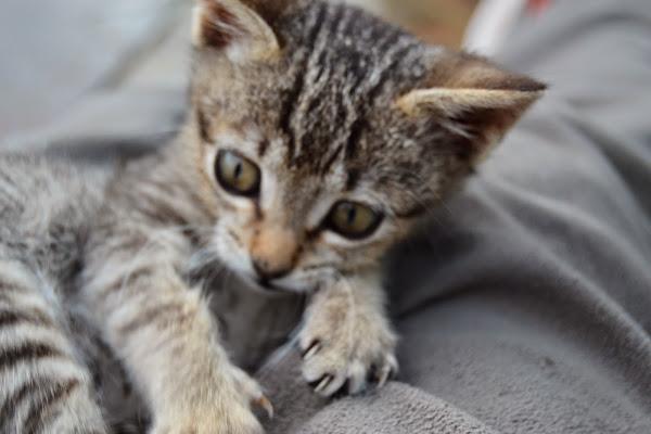 El placer de disfrutar de mis animalitos