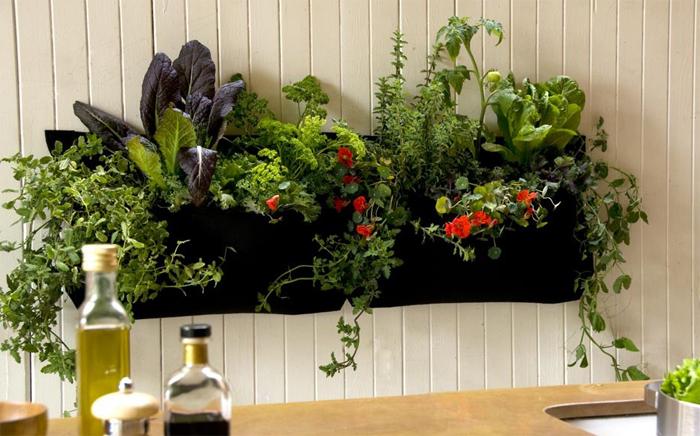 huerto en una jardinera