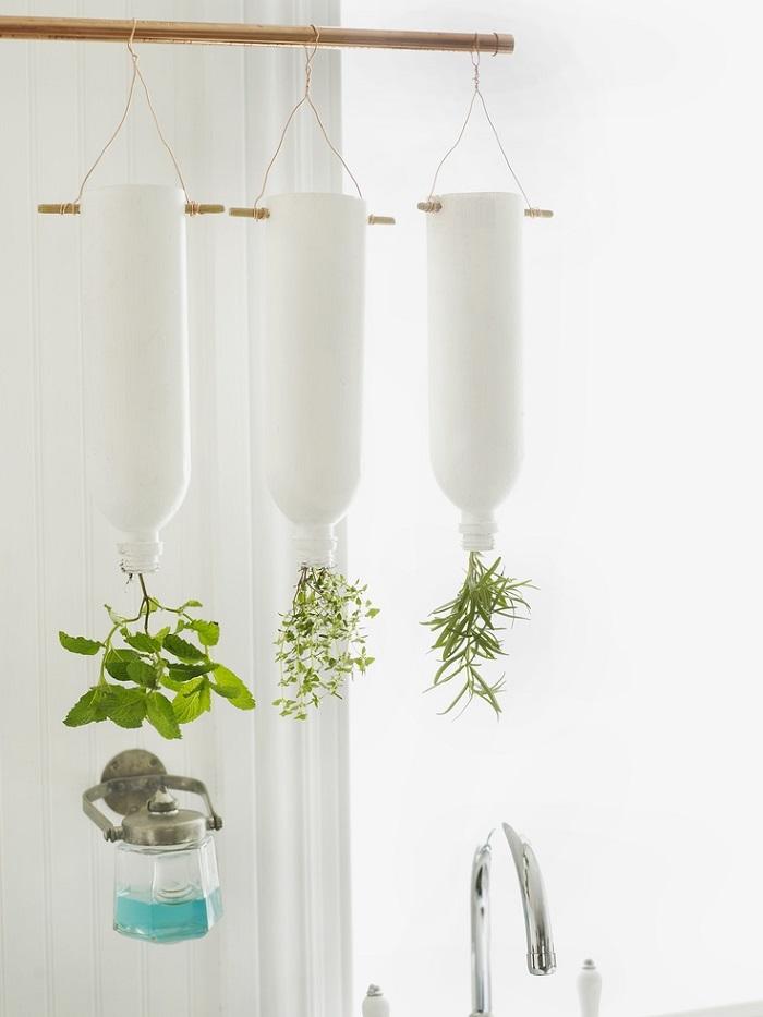 huerto en la cocina 9