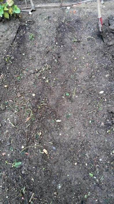 preparar el terreno para el mantenimiento