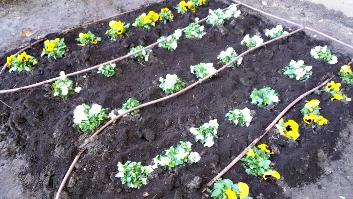 Aportar abono o mantillo