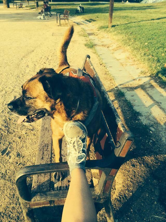 10584058_1659472134277001_5026641922251855299_n