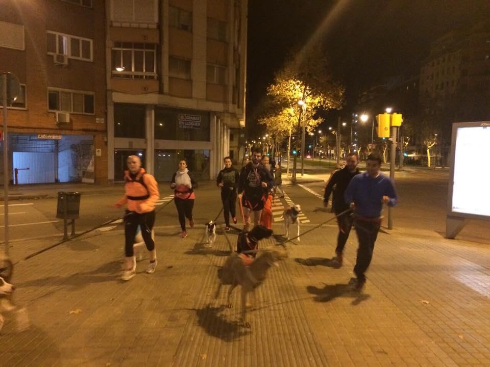 10610610_1767352396822307_778544712223294050_n