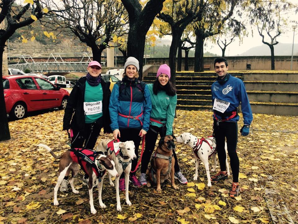 10801890_1738785113012369_7687743543371100055_n