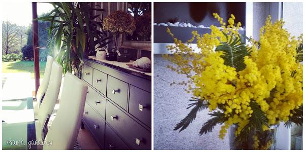 El placer de llenar la casa de flores