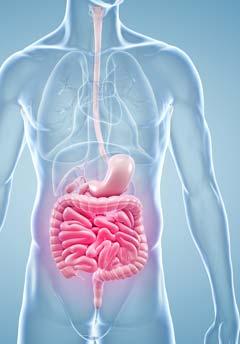 La sensibilidad alimentaria