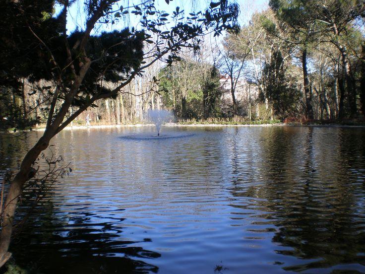 Lago de la quinta de los molinos, madrid