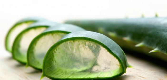 curar-estrias-aloe-vera-remedio