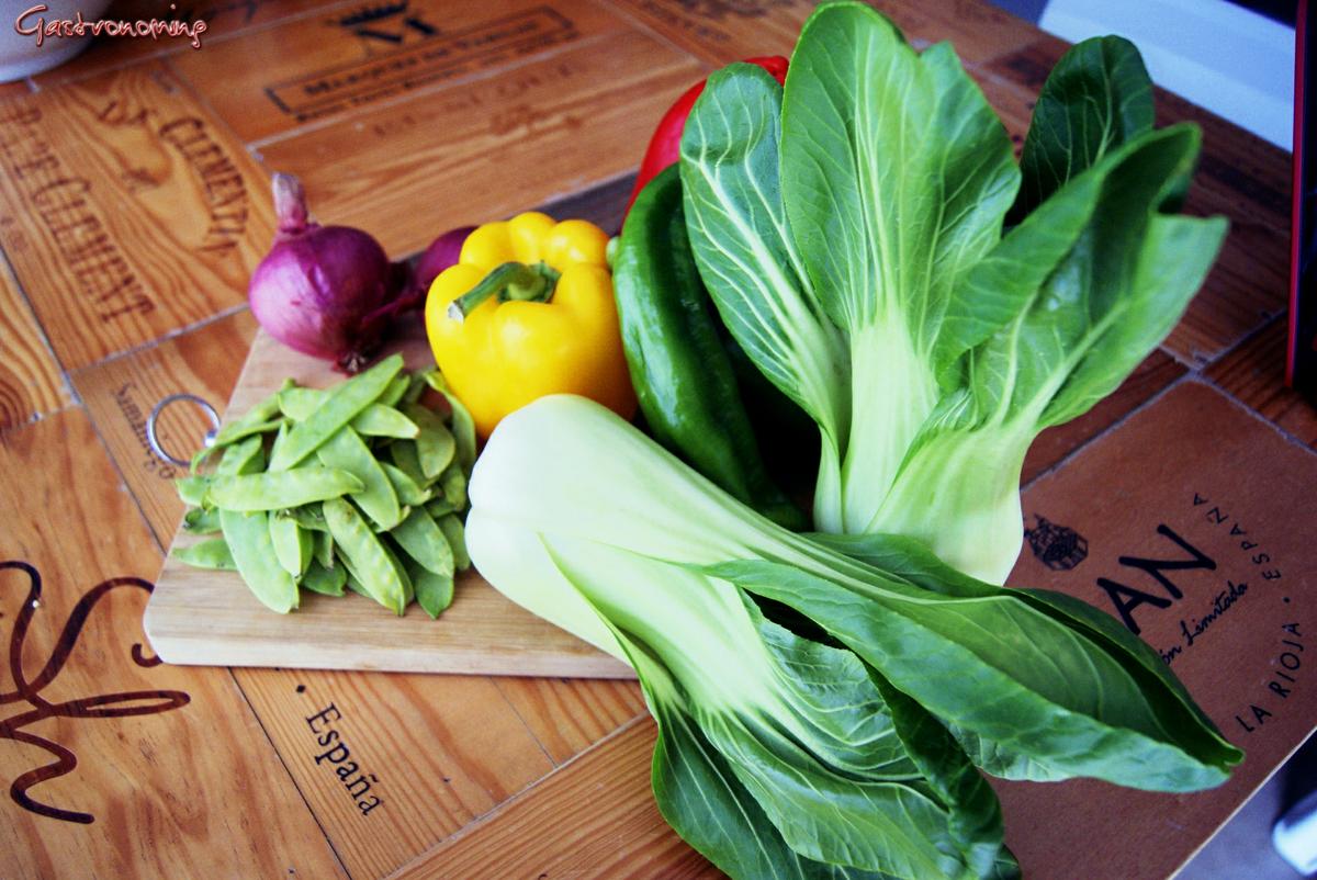 Guiso de pavo con verduras al wok