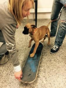 10422136_1777597565797790_1102419304411013605_n