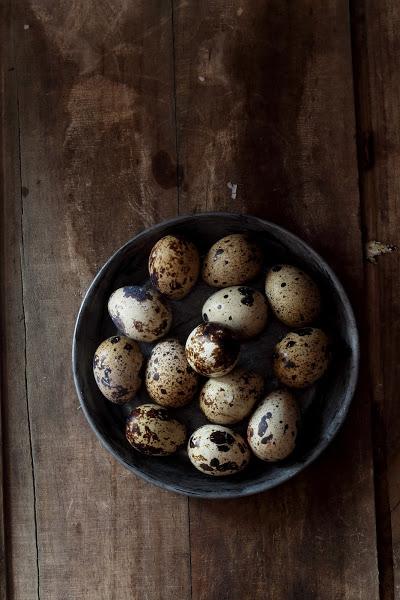 Huevos de codorniz rellenos de atún migrandiversion