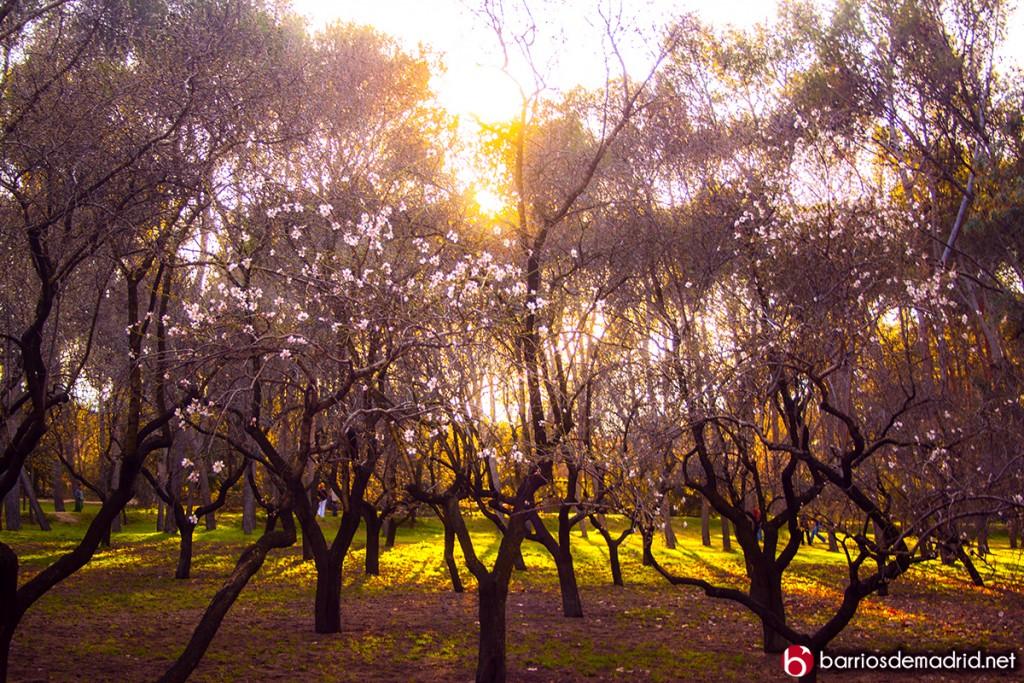 quinta de los molinos como llegar