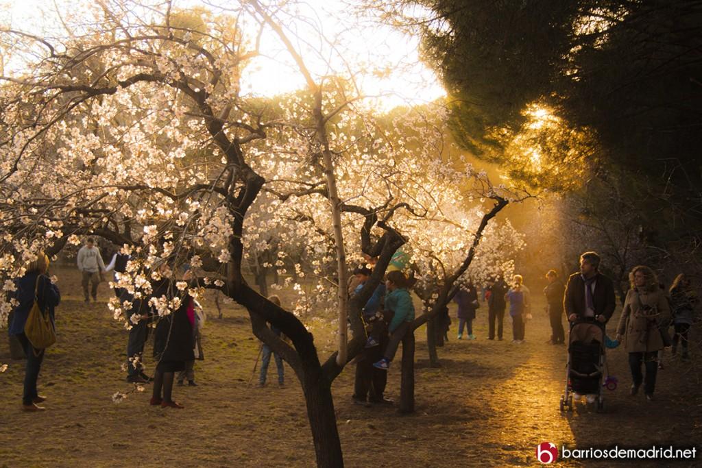 quinta de los molinos localización san blas canillejas