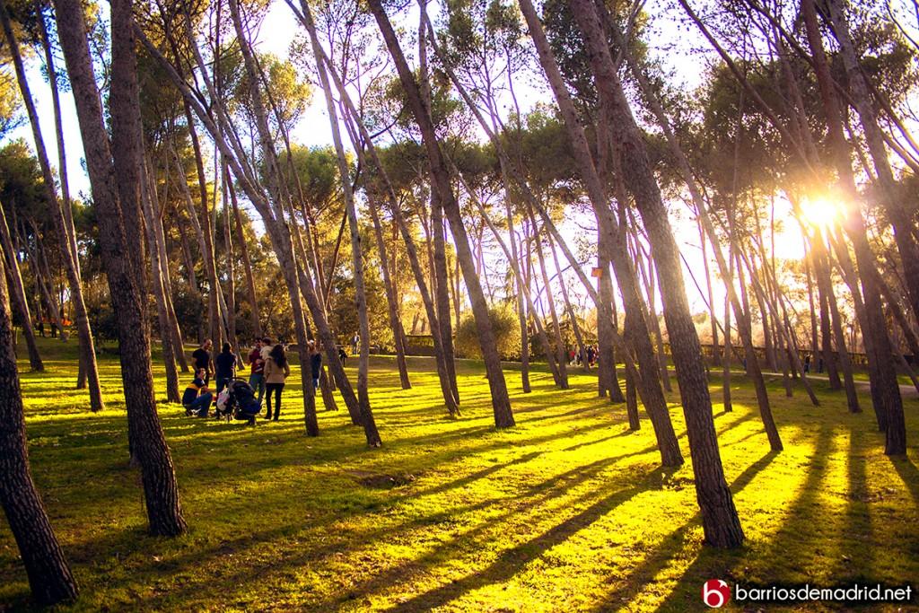 quinta de los molinos bodas