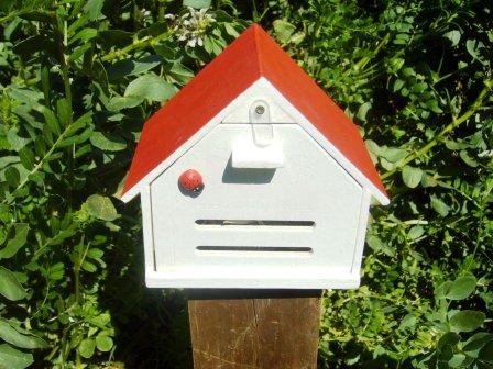 Casa-refugio para mariquitas