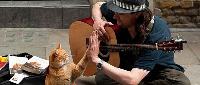 Bob-el-gato-de-la-calle-2