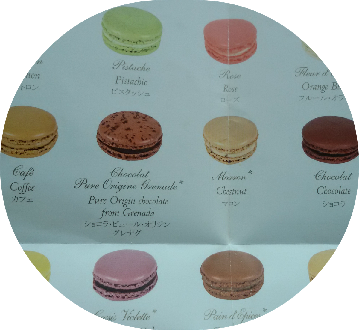laduree_rounded