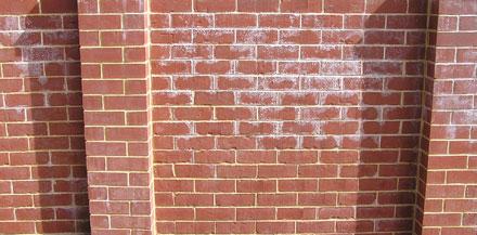 pintar-una-pared-de-ladrillo-eflorescencia