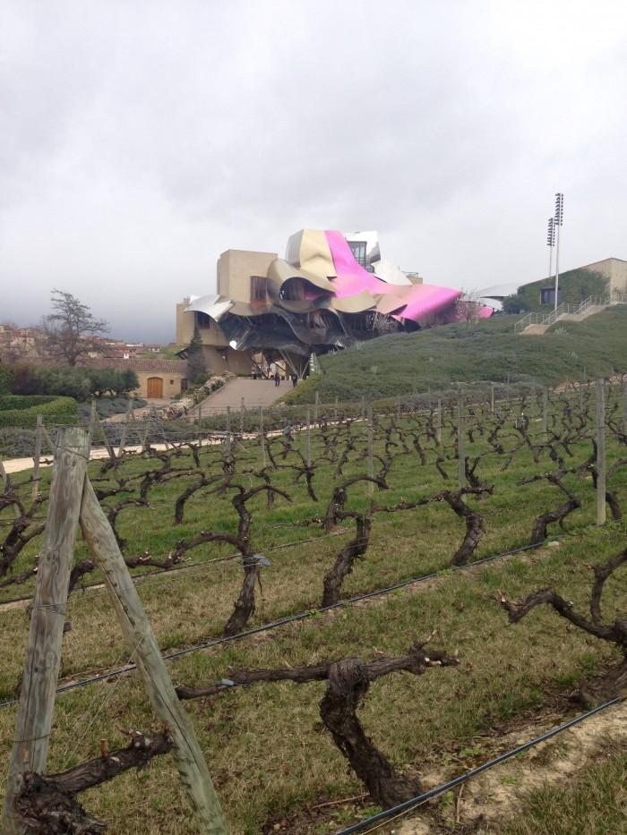 bodega Marques de Riscal