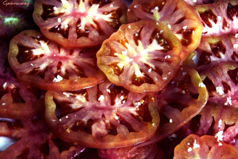 ensalada de tomate y anchoa