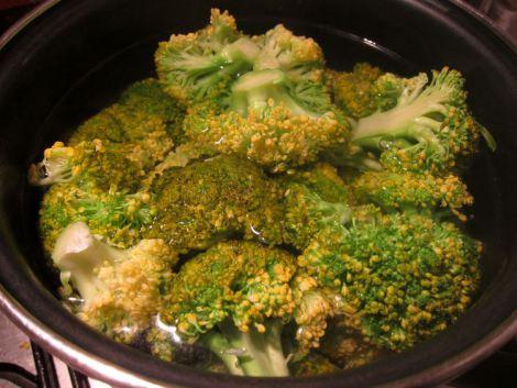 canelones-de-brocoli-