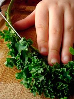 verduras crucíferas