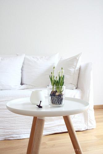 Flores de primavera blancas