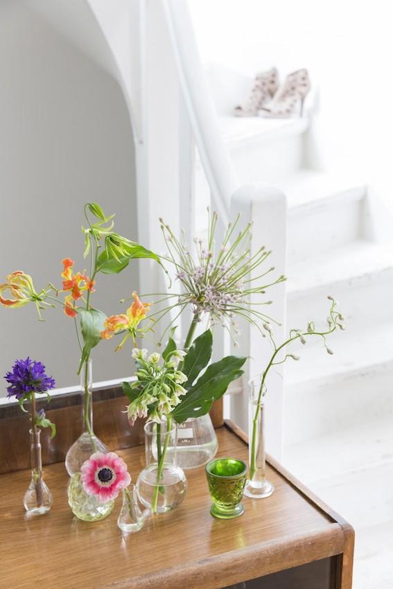 Conjunto de Flores de primavera