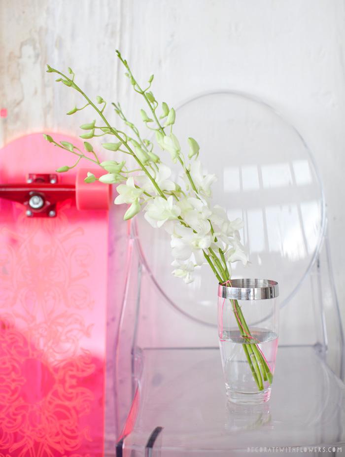 Flores de primavera delicadas