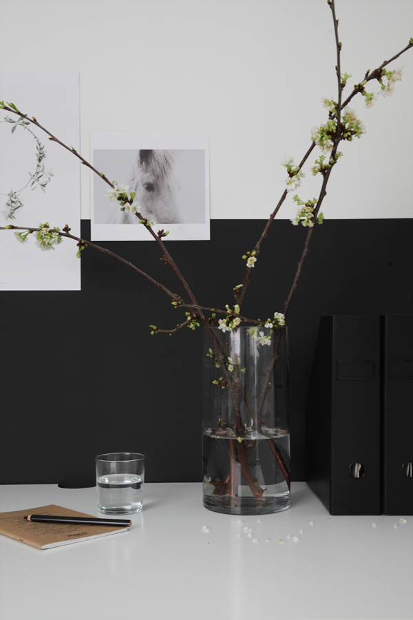 Flores de primavera ramas