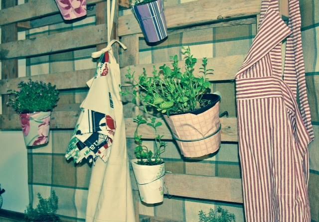 11016729_839930739407663_473156240809438054_n