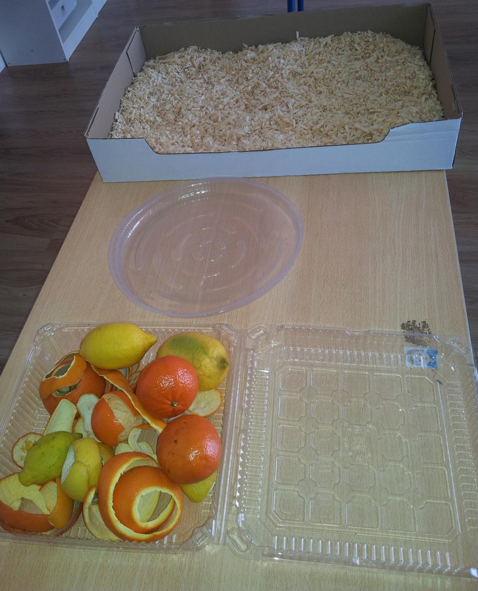 Cítricos y sus peladuras secadas.