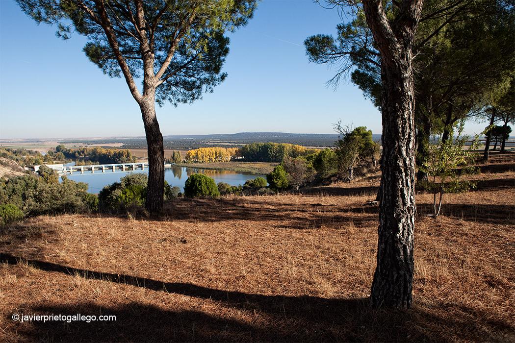 El embalse de San José desde la Senda de los Almendros. Reserva natural Riberas de Castronuño-Vega del Duero. Localidad de Castronuño. Castilla y León. España. © Javier Prieto Gallego