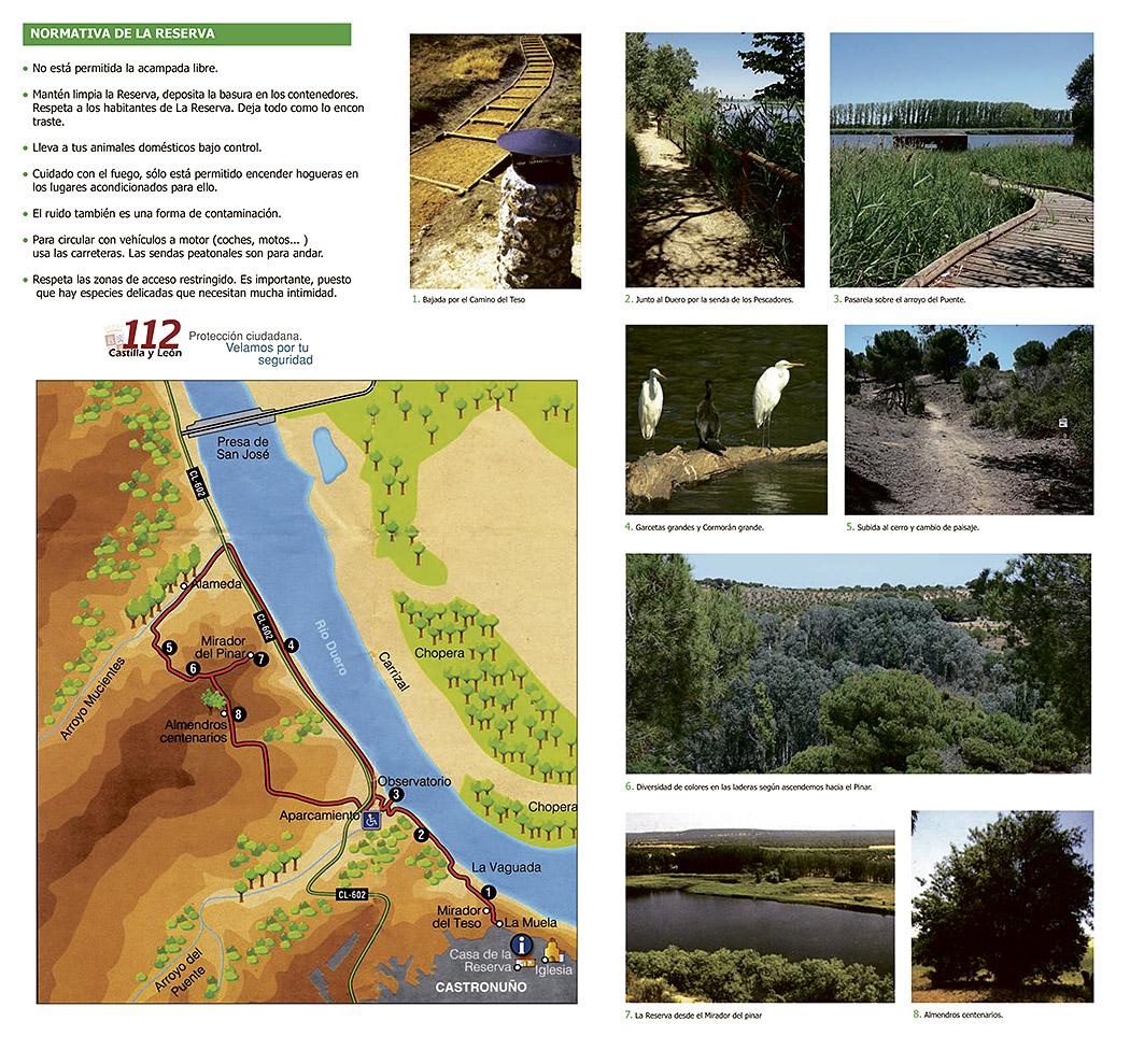Croquis del la Senda de los Almendros. Espacio natural Ribera de Castronuño. Valladolid.