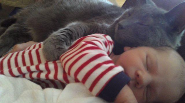un-gato-en-tu-vida-bebe-dormir-juntos