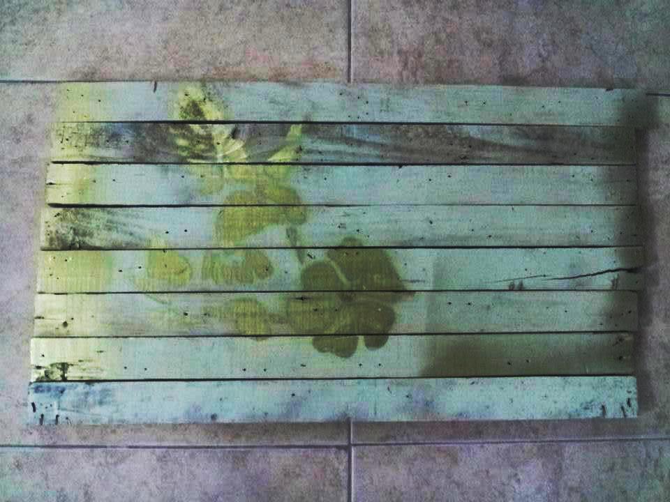 376058_10201042596970042_293438104_n